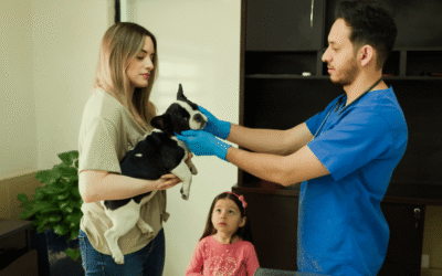 Furry Family Chronicles: Nurturing Your Beloved Pets