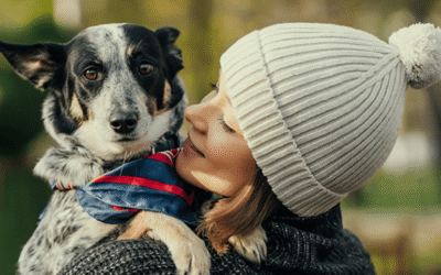 The Pet Care Companion: Your Guide to Happy and Healthy Pets